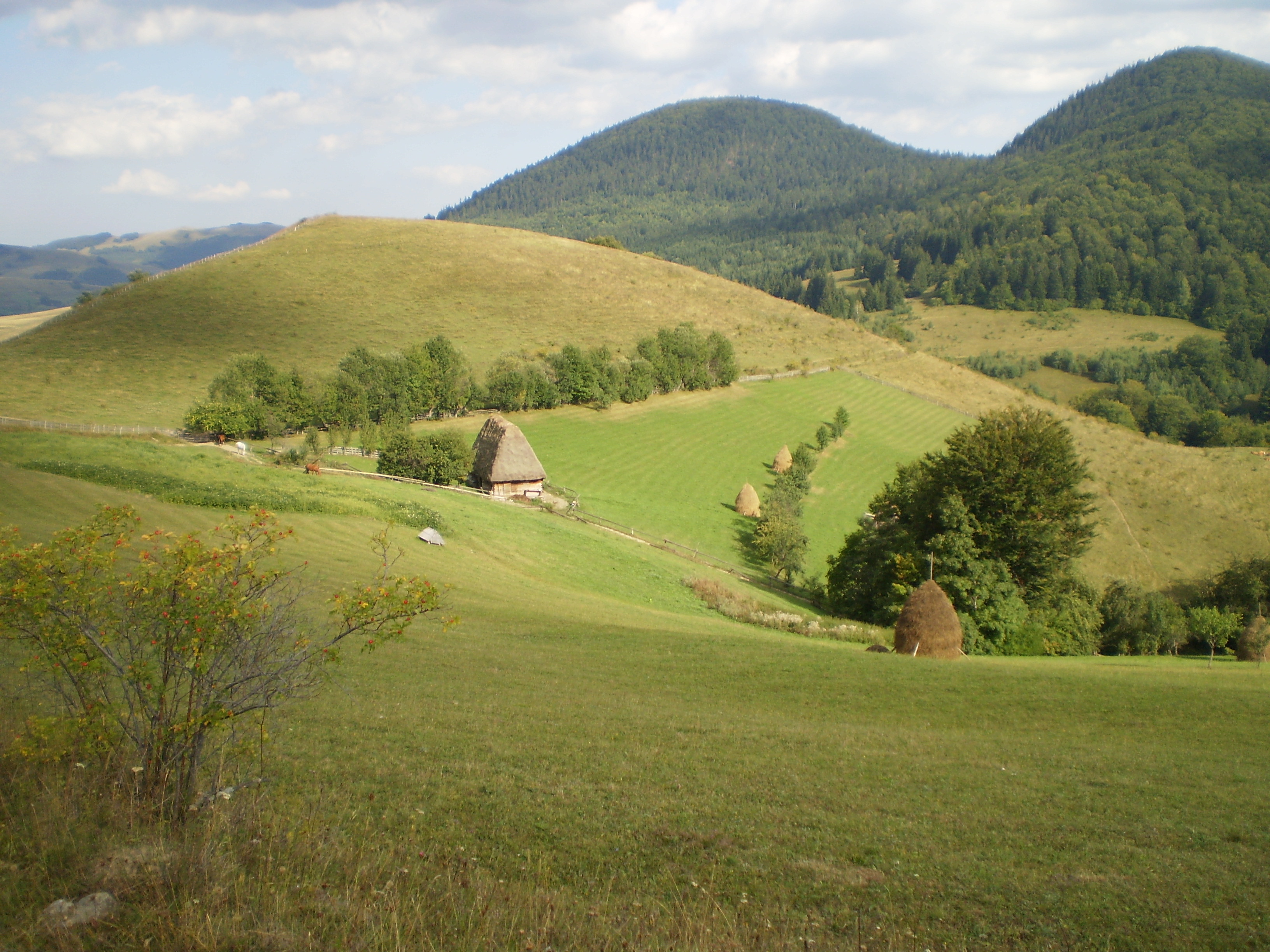 2009 Erdélyi túra